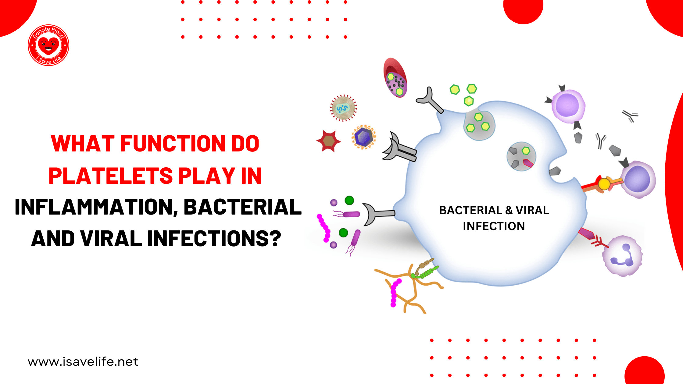 What Function Do Platelets Play in Inflammation, Bacterial and Viral Infections?