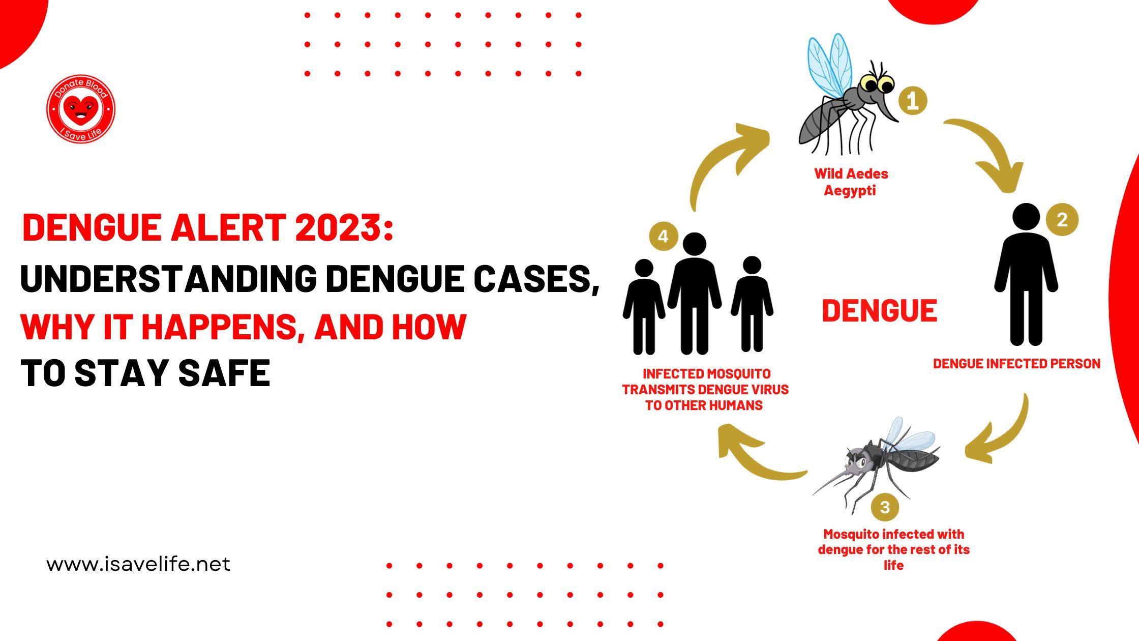 Dengue Alert 2023: Understanding Dengue Cases, Why it Happens, and How to Stay Safe