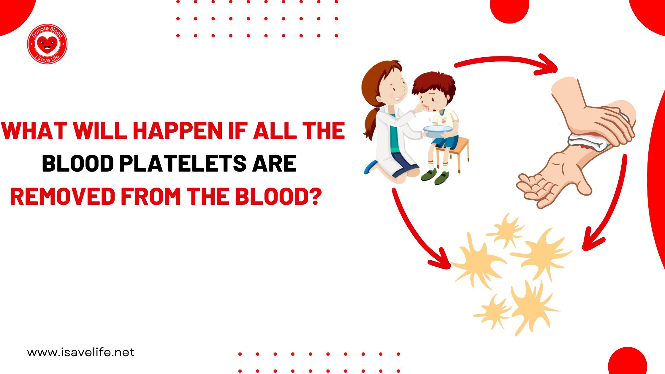 What Will Happen If All the Blood Platelets Are Removed From The Blood?