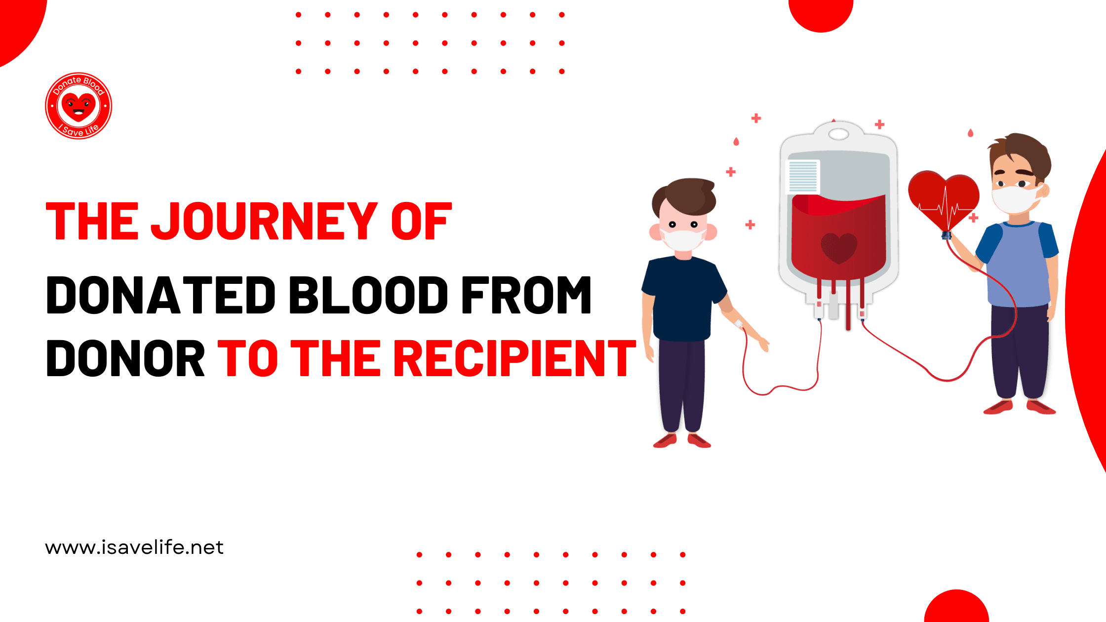 The Journey of Donated Blood: From Donor to the Recipient 