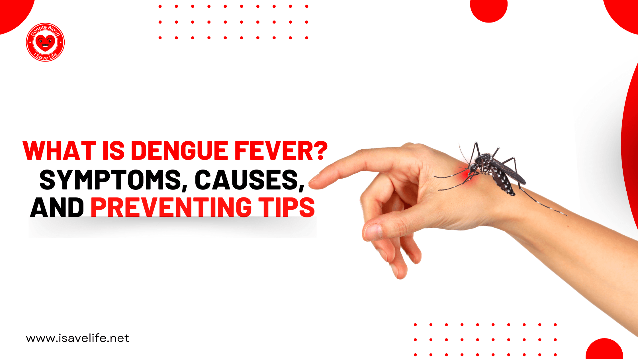 What is Dengue Fever? Symptoms, Causes, and Preventing Tips