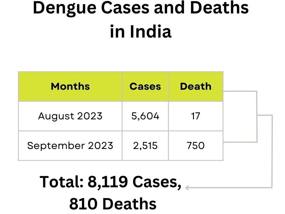 dengue %.jpg